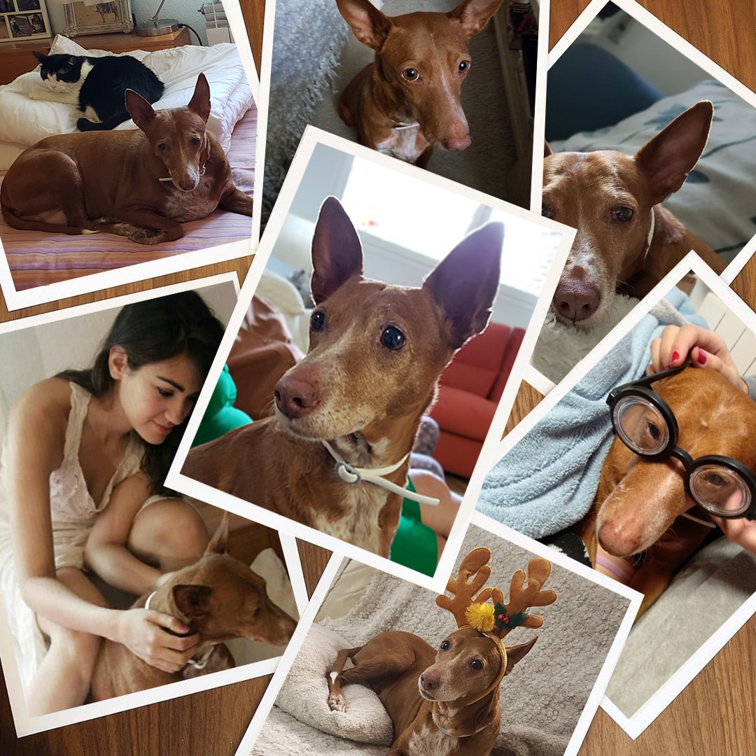 WhatsApp Image 2023-02-12 at 19.05.25